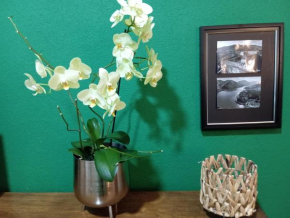 The Orchid